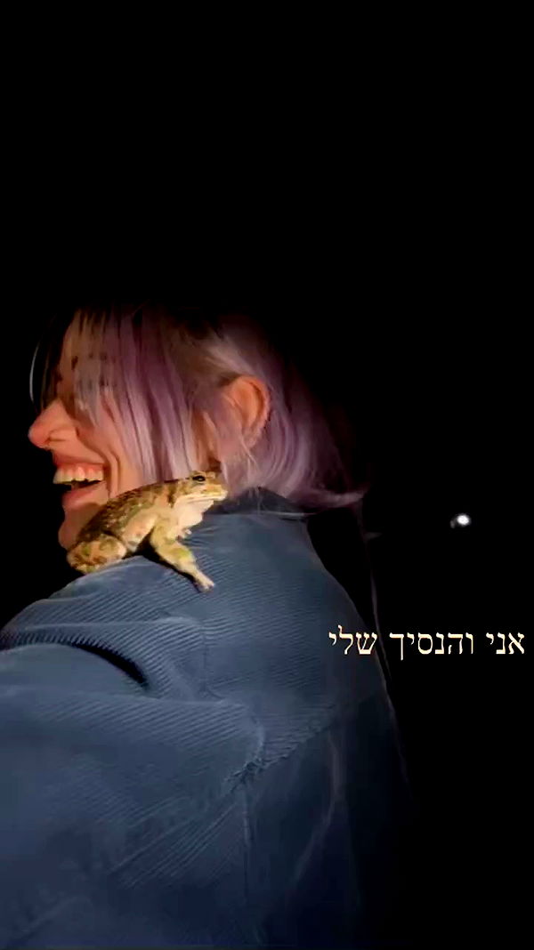 feelbetterinmysweater archive video preview