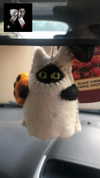 tarantvlagrll Altpins Profile Picture