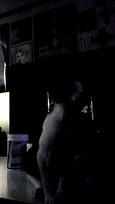 6nattynat9 6nattynat9 archive video