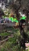 6a1it Altpins Profile Picture
