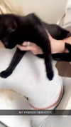 abbyy.irl Altpins Profile Picture