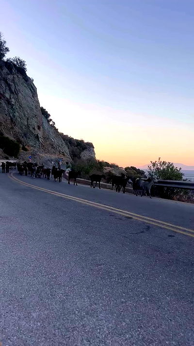 talweisswasser talweisswasser archive video