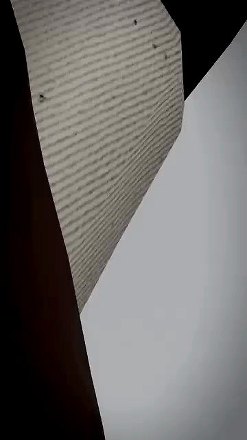 studio.wrong archive video preview
