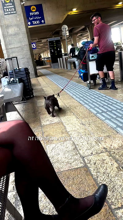 nicole.shpo nicole.shpo archive video