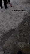 ilana.21 Altpins Profile Picture