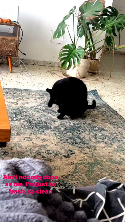 hellokittyangel666 hellokittyangel666 archive video