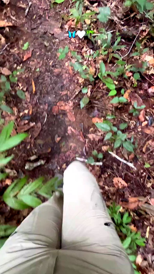 roni__moalem archive video preview