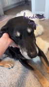 lola.luvgood Altpins Profile Picture