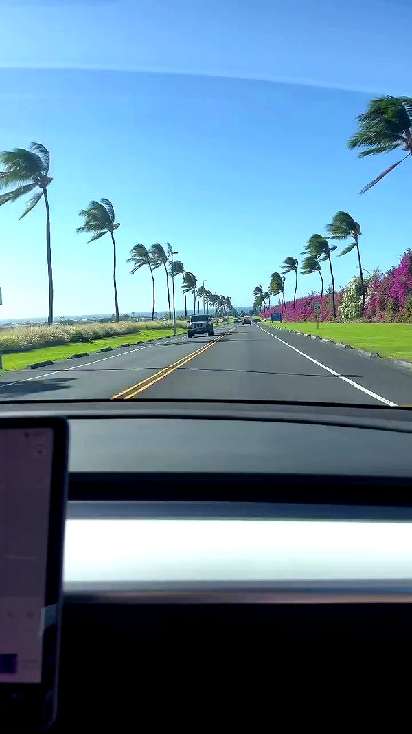 stateofrachel archive video preview