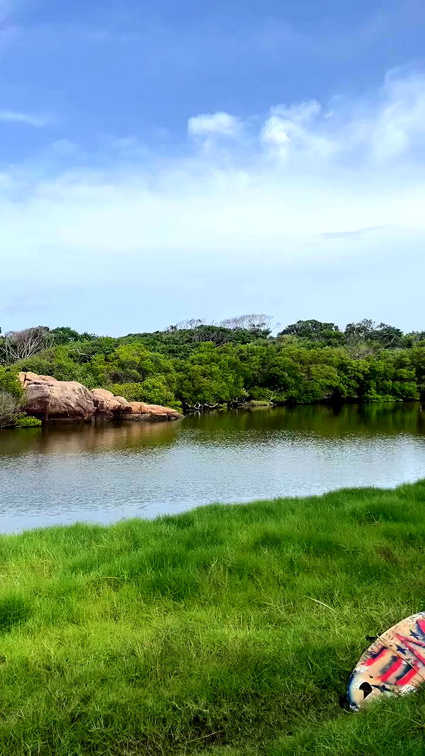 alice.skym archive video preview