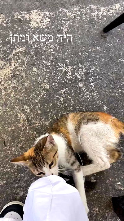 shelly_.mor shelly_.mor archive video