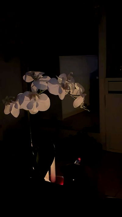 moonliliaght moonliliaght archive video