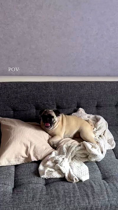 nyityam nyityam archive video