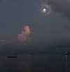 giulia.monico Altpins Profile Picture