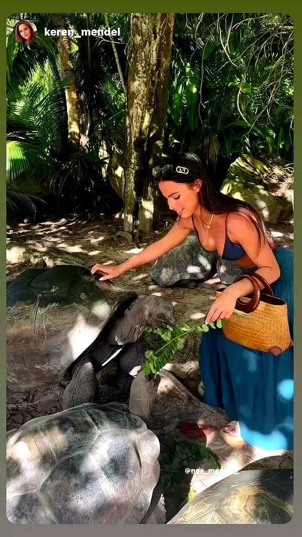 noa_mendel_ archive video preview