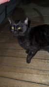 miss_baby007 Altpins Profile Picture