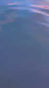 alexuhh_g Altpins Profile Picture