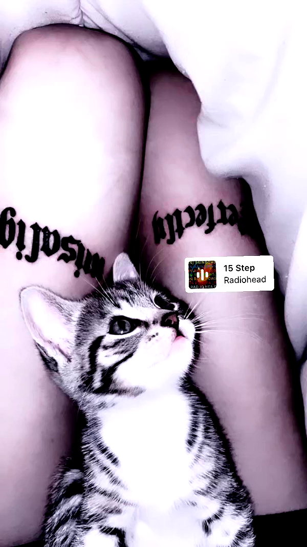 nylthria archive video preview