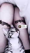 nylthria Altpins Profile Picture