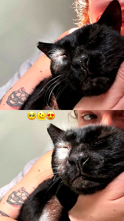 mishel116 mishel116 archive video