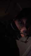 zz.eazoning Altpins Profile Picture