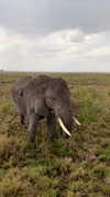 noa_mendel_ Altpins Profile Picture