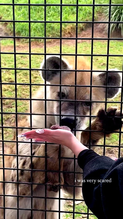 iheartpidge iheartpidge archive video