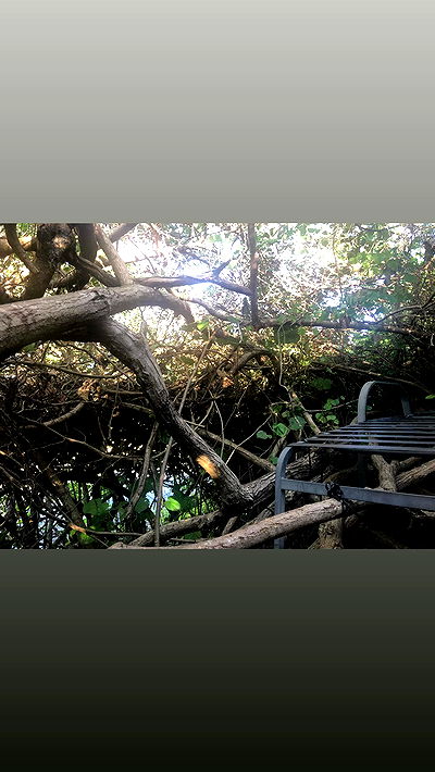 queencygalang queencygalang archive video