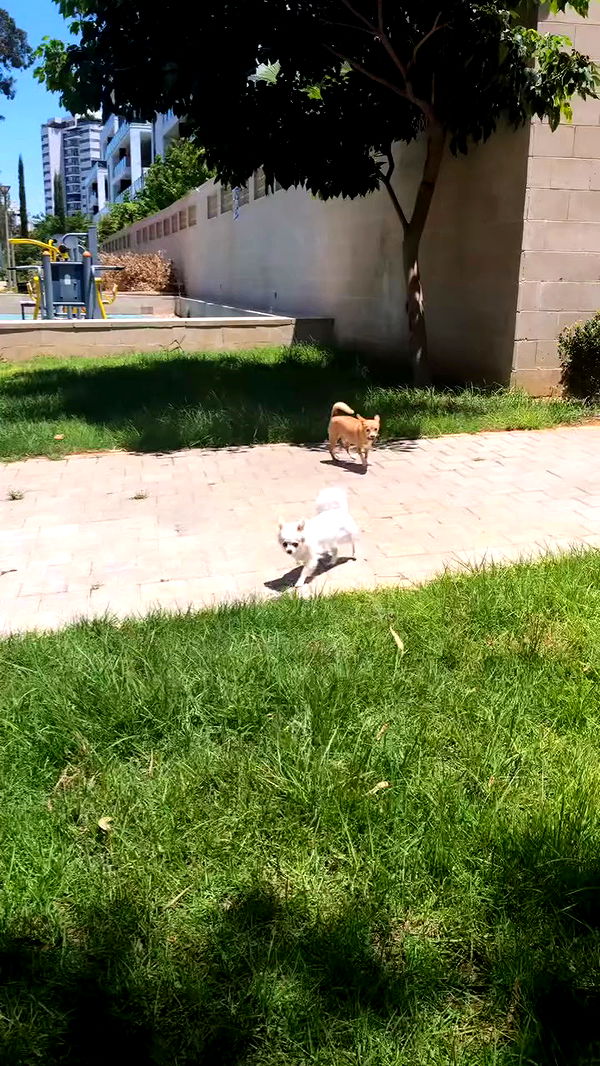 tinapavlov.sky archive video preview