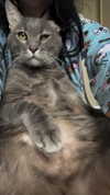 canabaputgir Altpins Profile Picture