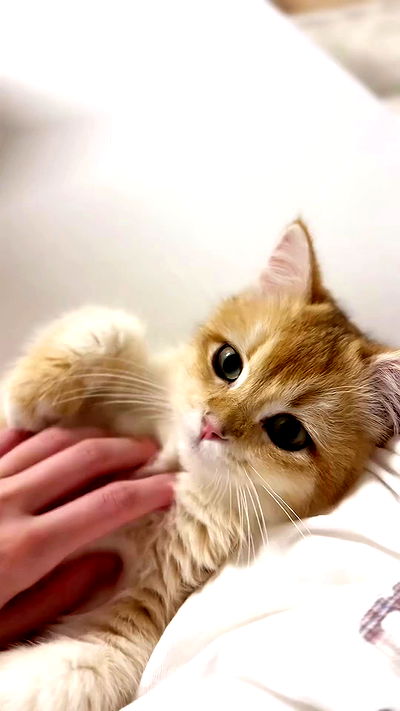 itsilanosh itsilanosh archive video