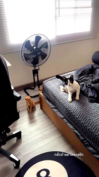 oqr0_ oqr0_ archive video