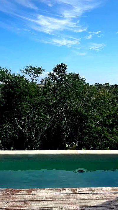 iambohema.v2 iambohema.v2 archive video