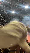 carla.famulari Altpins Profile Picture