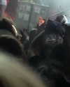 koolthinggg Altpins Profile Picture