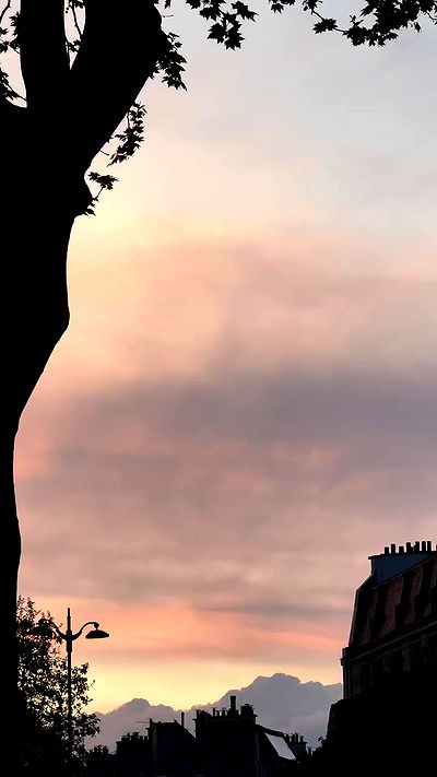 meleeva meleeva archive video