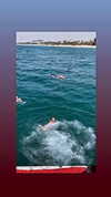 diana_polin Altpins Profile Picture