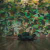 belok_bero Altpins Profile Picture