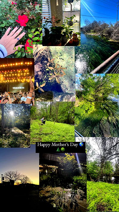 tatum.ricee tatum.ricee archive video