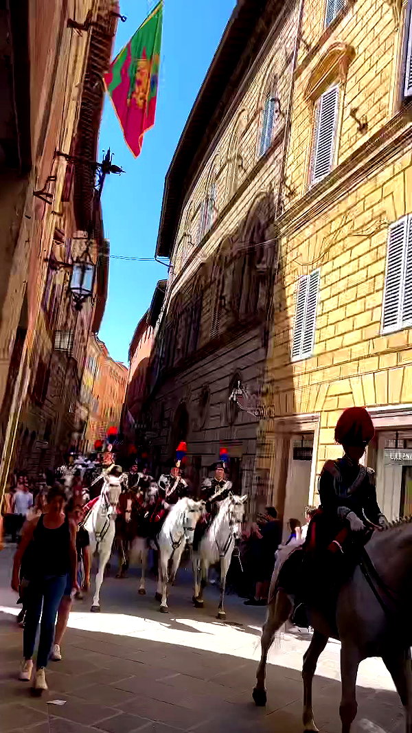 noa_mendel_ archive video preview