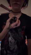 noast4rzz Altpins Profile Picture