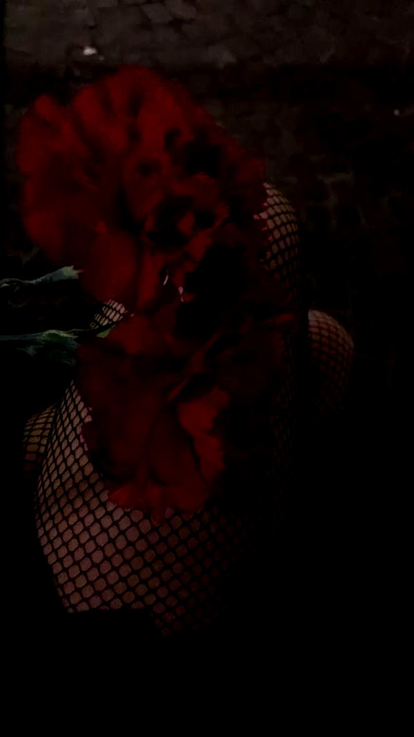 algofobica archive video preview