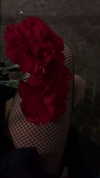 algofobica Altpins Profile Picture