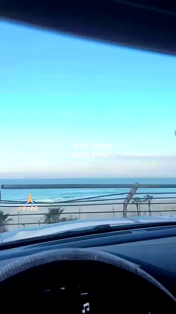 larin_manor10 archive video preview