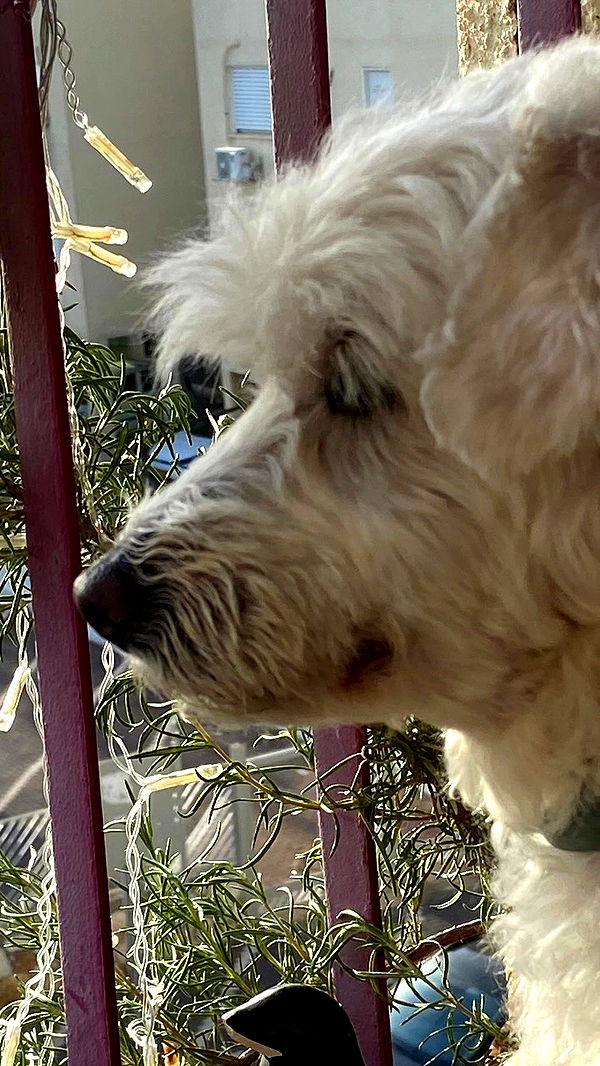 feelbetterinmysweater archive video preview