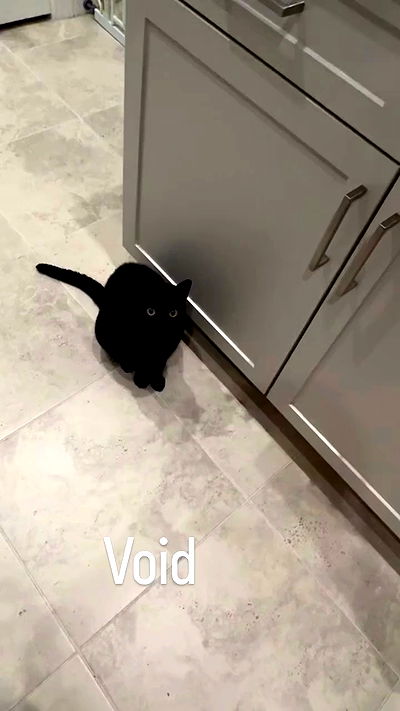 edin.karyn edin.karyn archive video