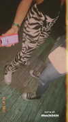 shaniii.1 Altpins Profile Picture