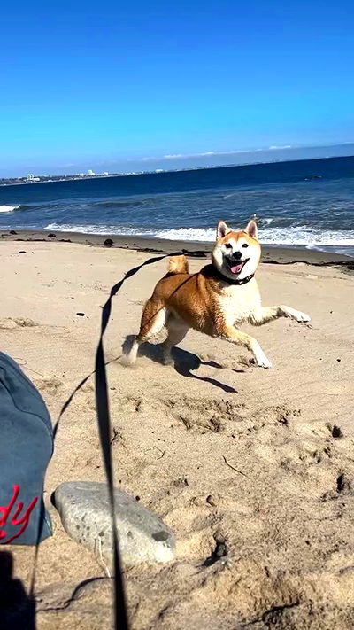 zommmbri zommmbri archive video