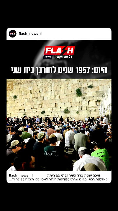 _lil_noa_ _lil_noa_ archive video