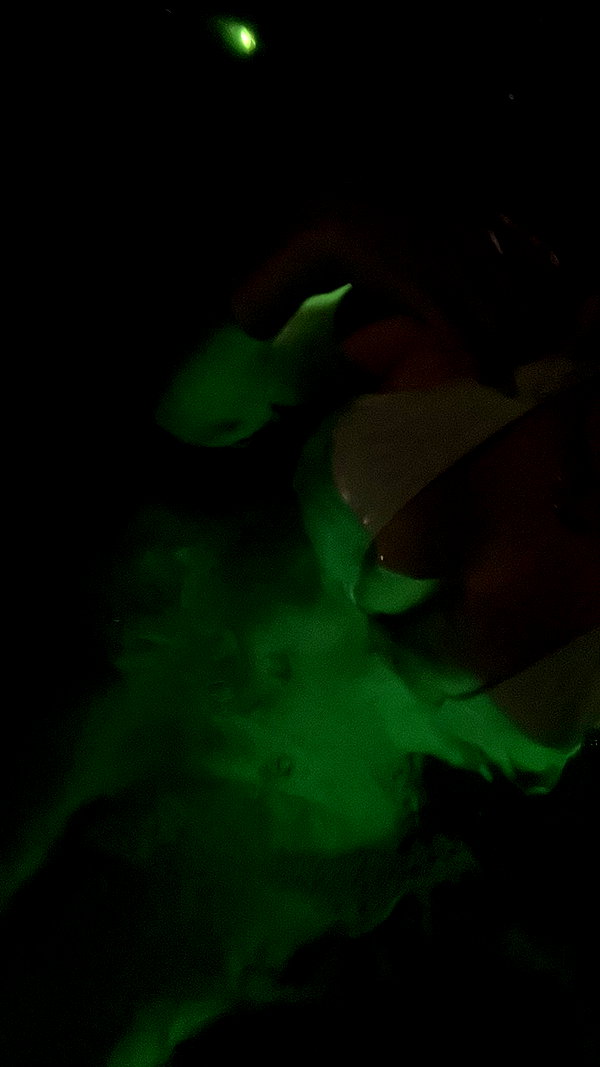ashley.scarr archive video preview